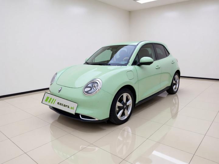 Good Cat 2022 400km Standard Range Luxury LFP