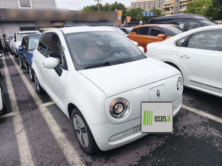 2022 Facelift 301km LFP photo 3