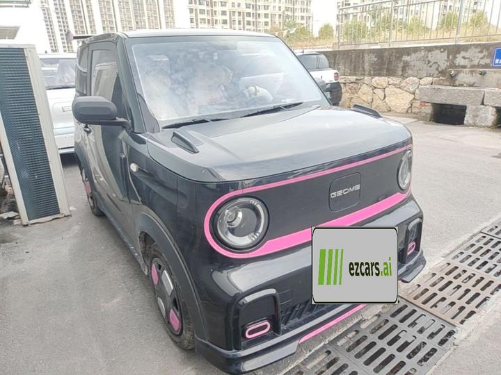 2025 210km Panda photo 3