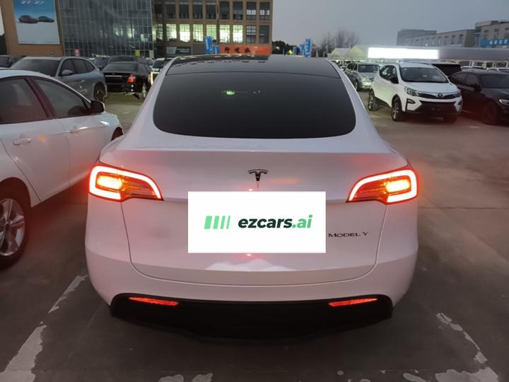 Model Y 2024 RWD photo 5