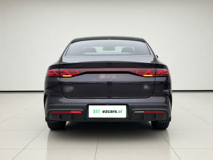 Qin L 2024 DM-i 80KM photo 5