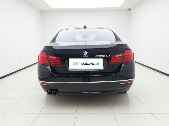5 Series 2014 525Li Luxury Design Package photo 5