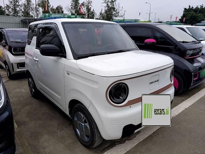 2025 210km Panda photo 5
