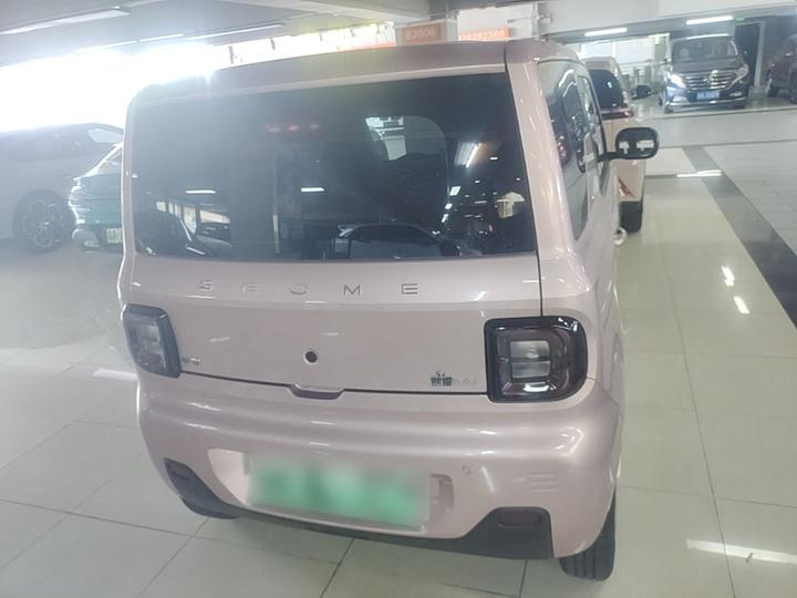 2023 Panda mini 200km Endurance Bear photo 3