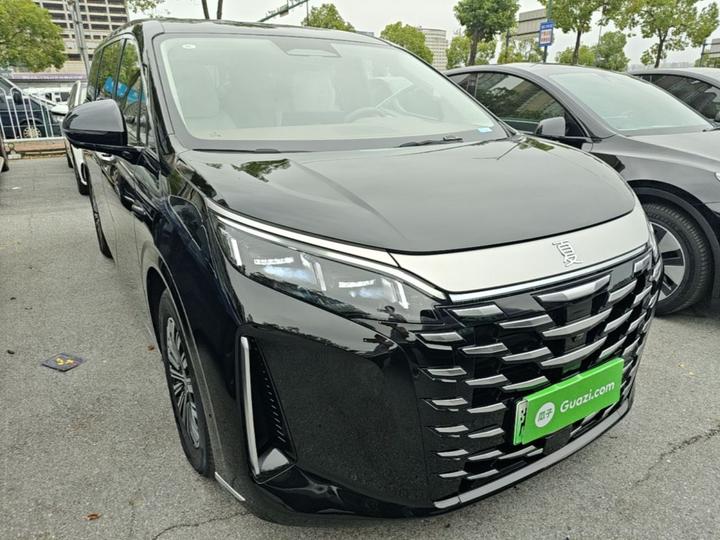 2025 DM-i 1.5T 180km photo 3
