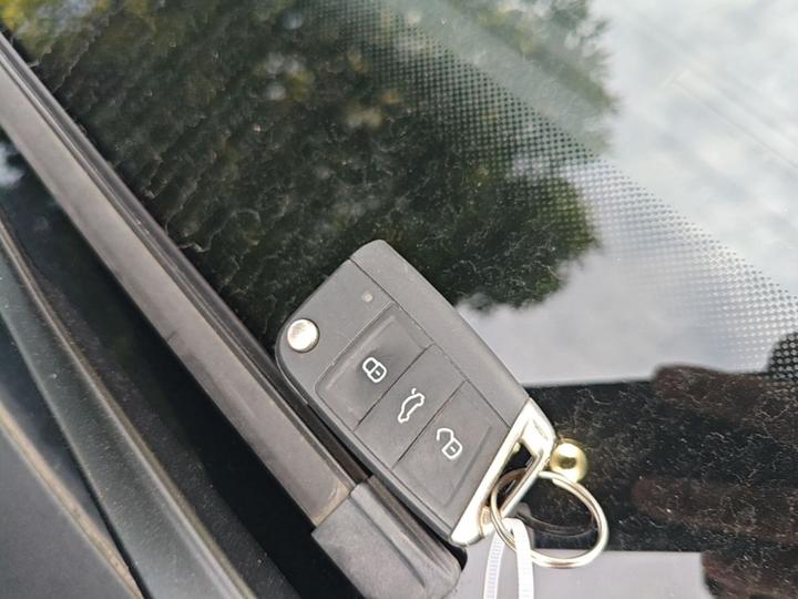 Bora 2024 200TSI DSGPRO photo 8
