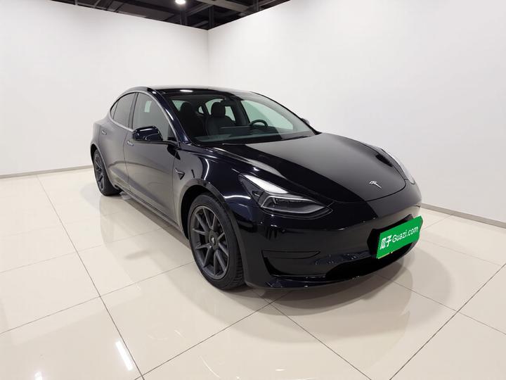 Model 3 2021 Facelift Standard Range RWD Upgraded 3D1 photo 3
