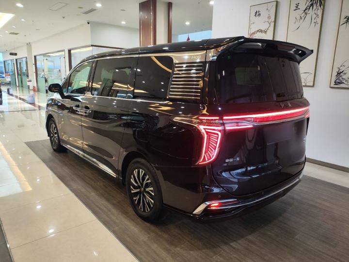 HQ9 PHEV 2024 2.0T AWD Business photo 4