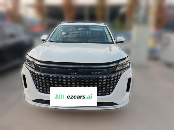 Bluelectric E5 2023 1.5L DE-i 100KM 7-Seater photo 2