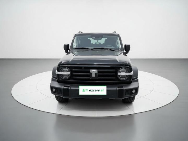 300 2024 2.0T Conqueror photo 2
