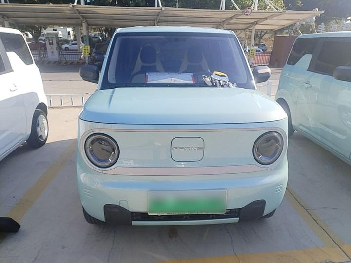 2023 Panda mini 200km Endurance Bear photo 2