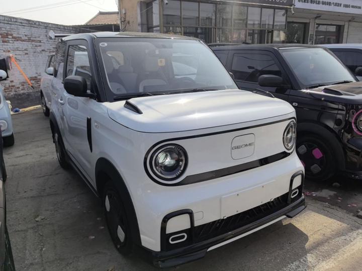 2025 210km Panda photo 3