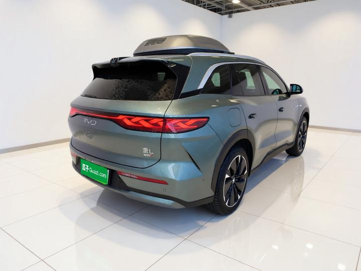 Tang L 2025 DM 175KM photo 4