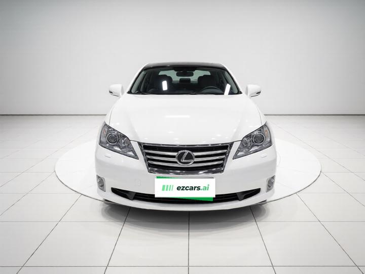 ES 2010 240 Elegant photo 2