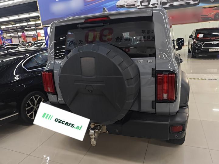 300 2021 Off-road 2.0T Conqueror photo 3
