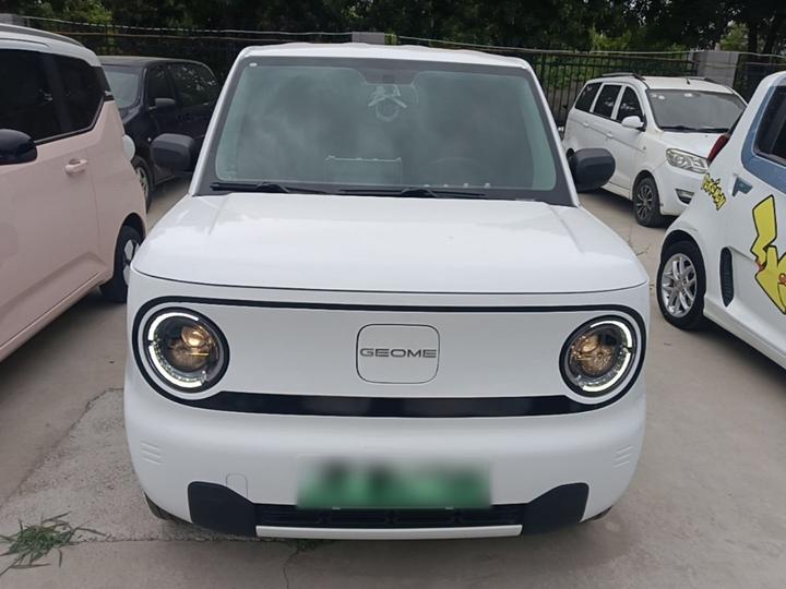 2024 Panda mini 200km Endurance Bear photo 2