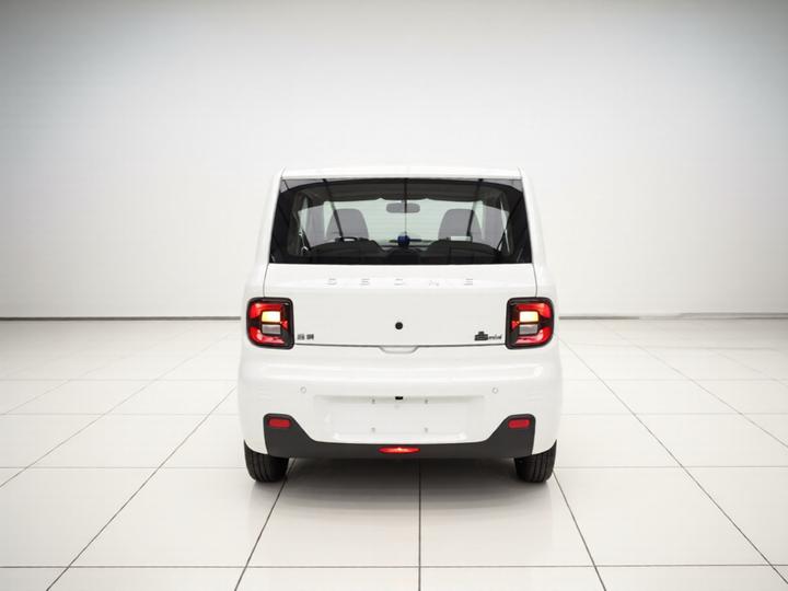 2024 Panda mini 200km Endurance Bear photo 5