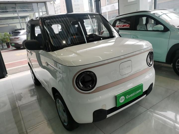 2023 Panda mini 200km Endurance Bear photo 3