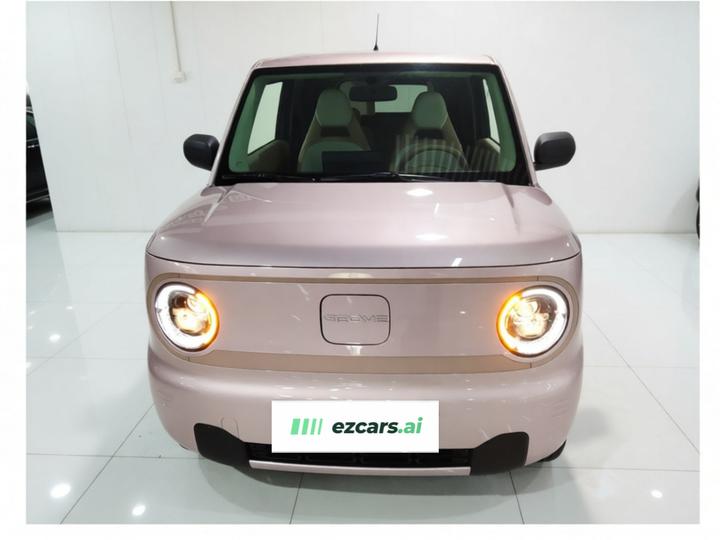 2024 Panda mini 200km Endurance Bear photo 2