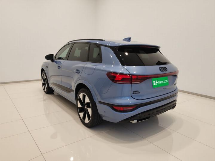 Q6L e-tron 2026 Pilot photo 4