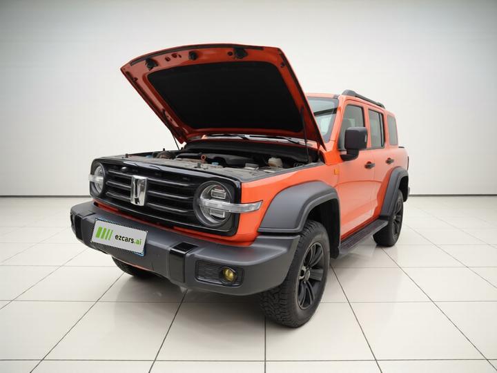 300 2021 Off-road 2.0T Conqueror
