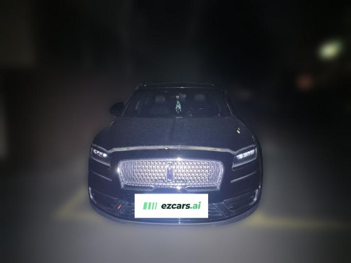 Nautilus Imported 2019 2.0T RWD Exclusive China VI photo 2