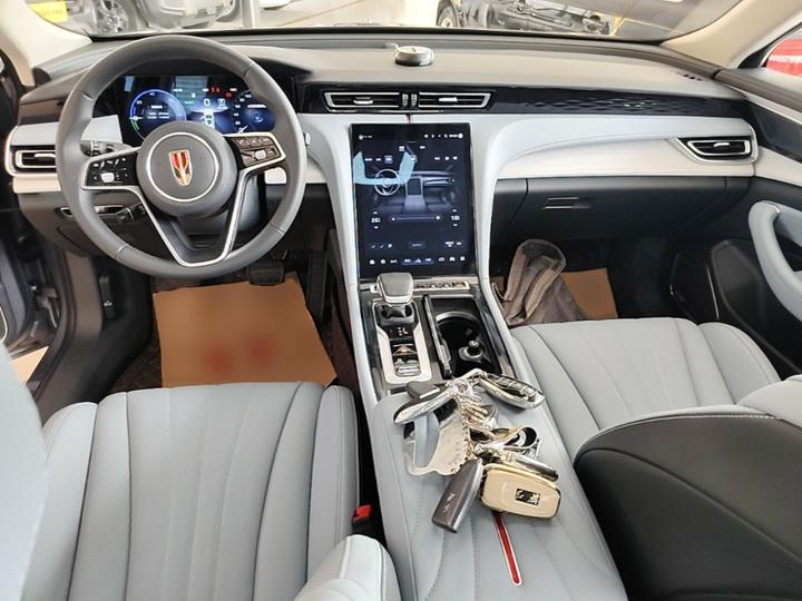 H5 PHEV 2025 170 photo 5