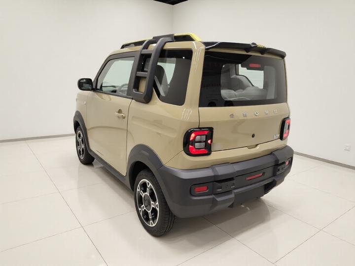 2025 210km Panda photo 4