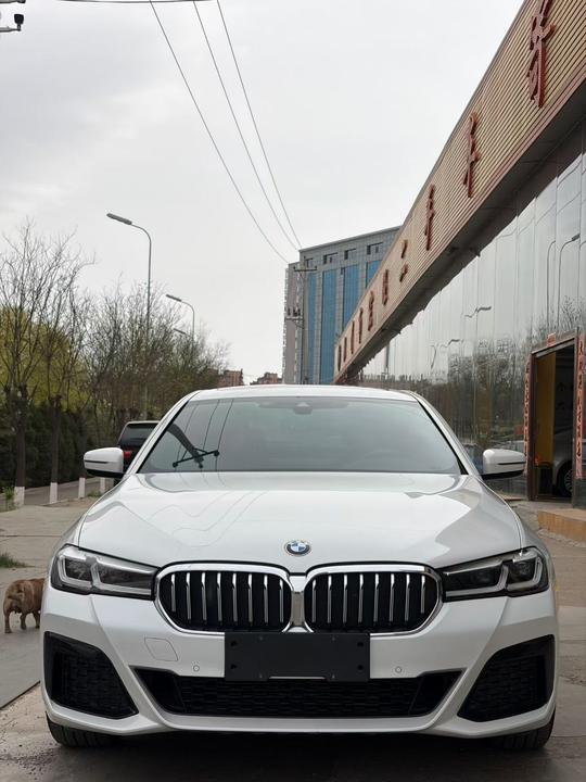 5 Series 2021 525Li M Sport Package photo 4