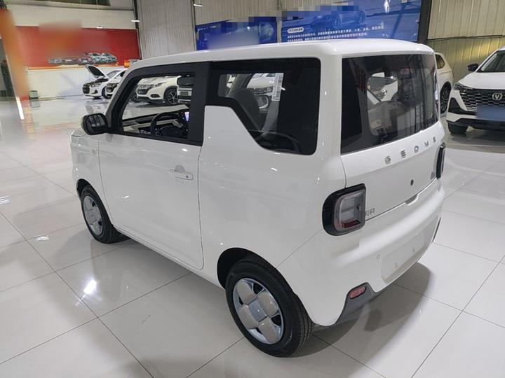 2024 Panda mini 200km Endurance Bear photo 4