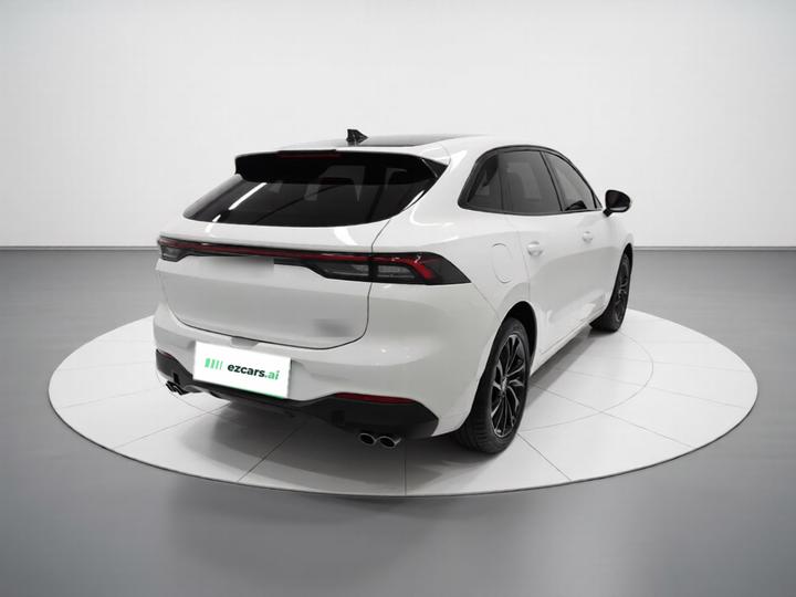 Forthing T5 EVO 2021 1.5TD DCT photo 6