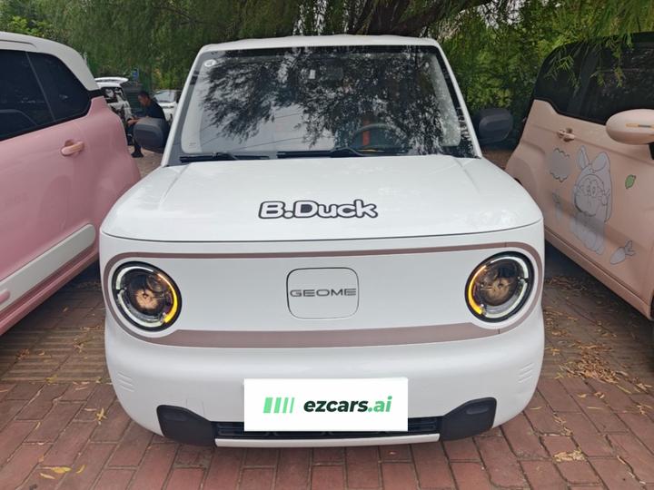 2024 Panda mini 200km Endurance Bear photo 2
