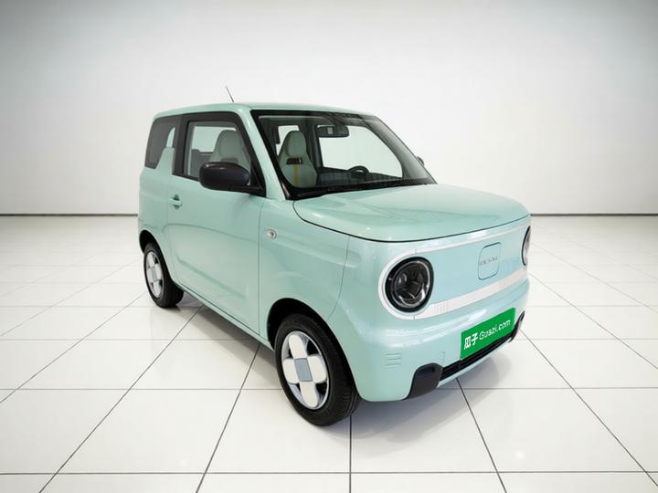 2023 Panda mini 200km Endurance Bear photo 3