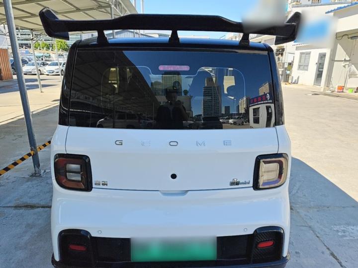 2025 210km Panda photo 3