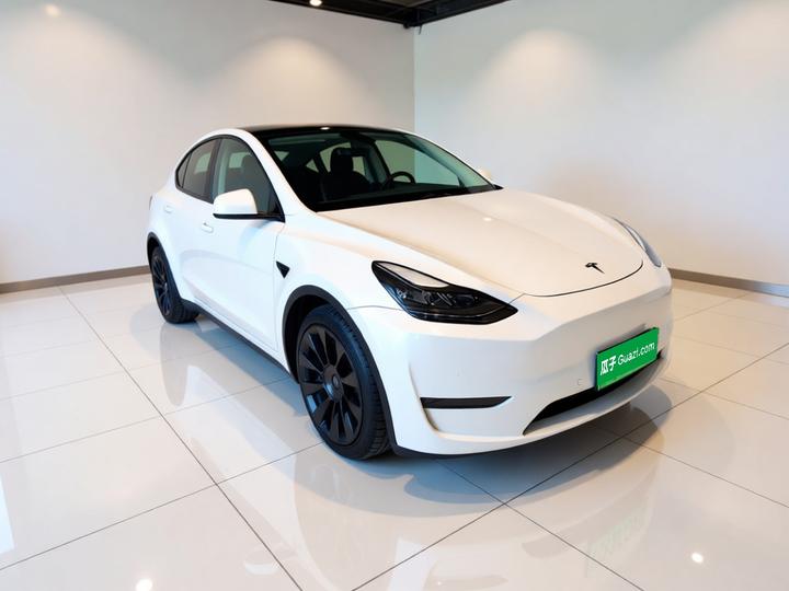 Model Y 2021 Long Range AWD 3D7 photo 3