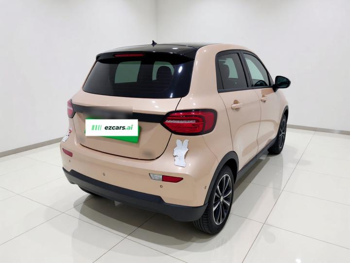 Leapmotor T03 2021 400 Luxury photo 6