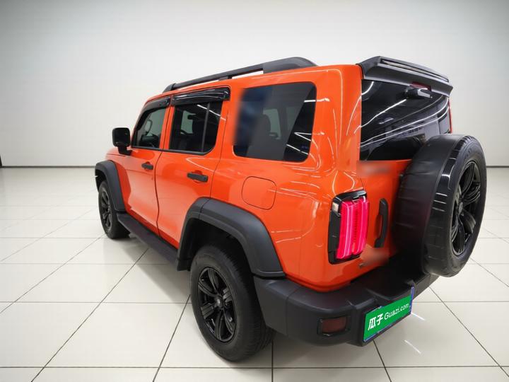 300 2021 Off-road 2.0T Conqueror photo 4