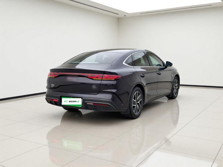 Qin L 2024 DM-i 80KM photo 6