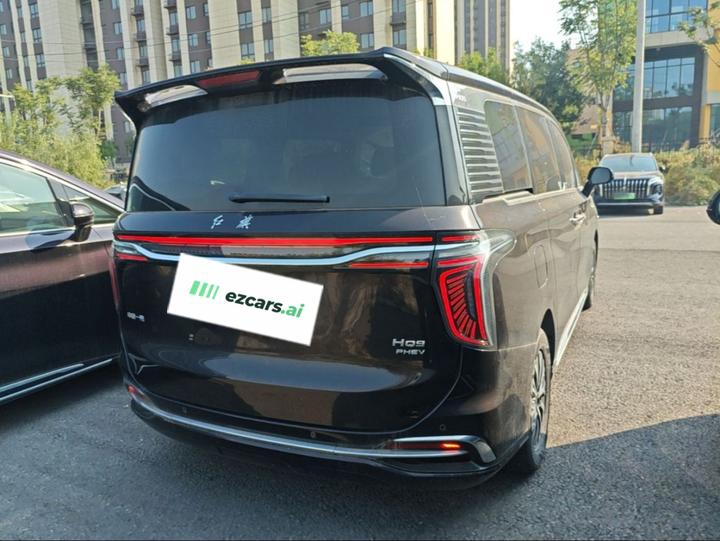 HQ9 PHEV 2024 2.0T AWD Business photo 6