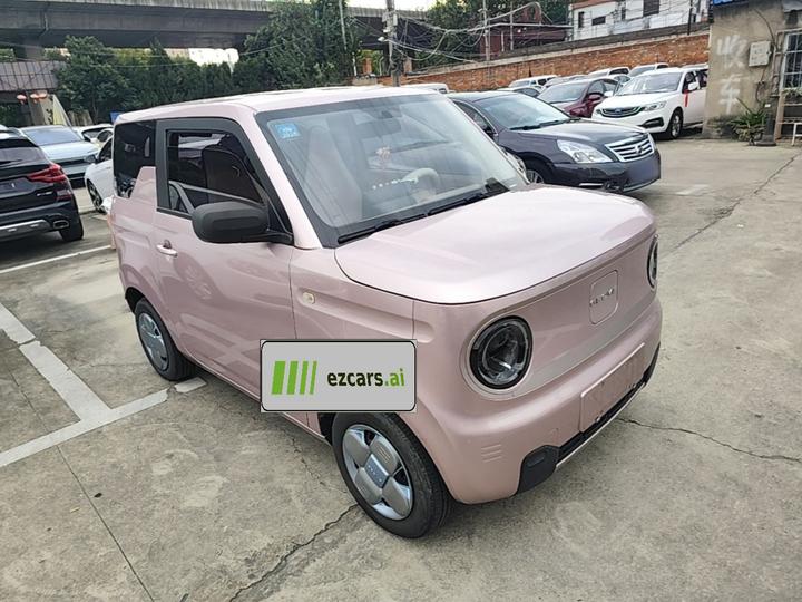 2023 Panda mini 200km Endurance Bear photo 5