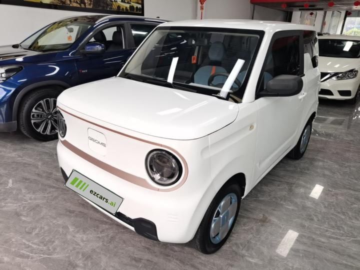 2023 Panda mini 120km