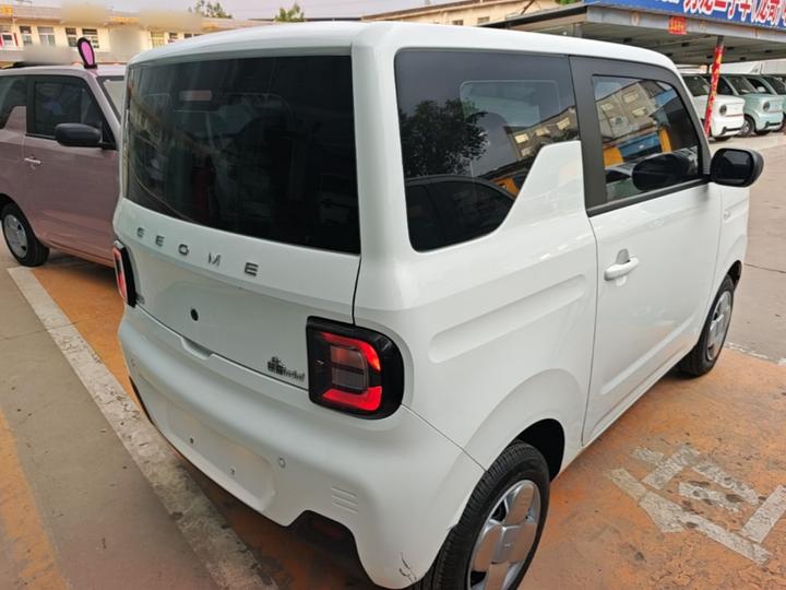 2024 Panda mini 200km Endurance Bear photo 4