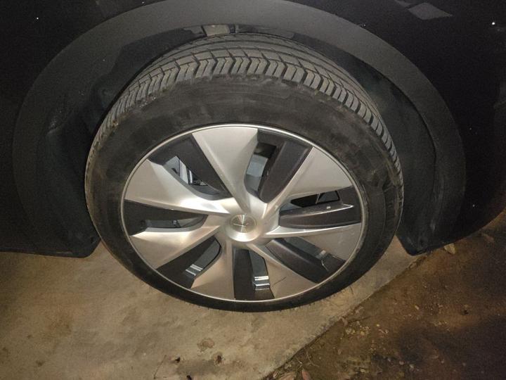 Model Y 2021 Standard Range RWD photo 8