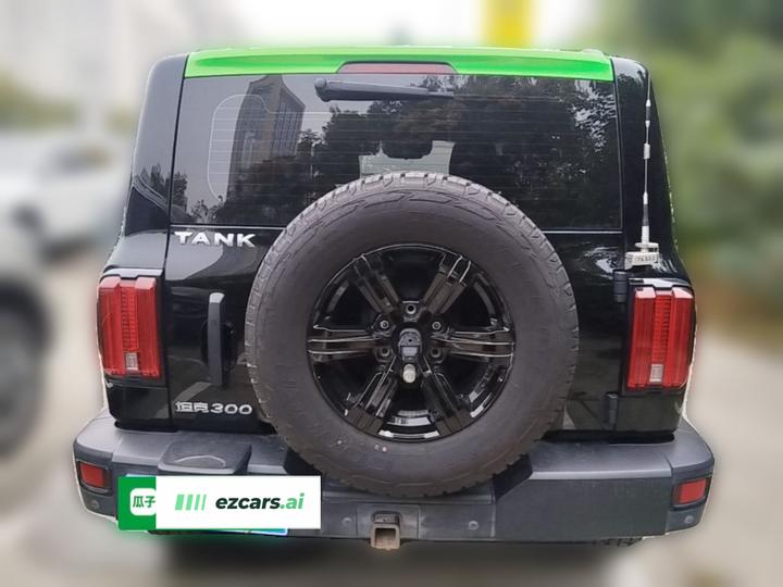 300 2021 Off-road 2.0T photo 5