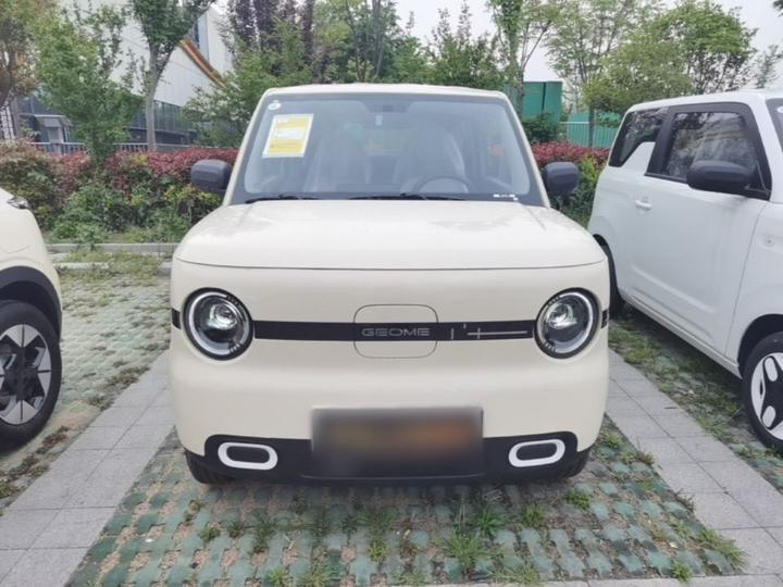 2025 Panda mini 210km Yuan photo 2