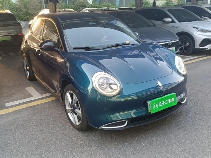 Good Cat 2021 400km Standard Range LFP photo 3