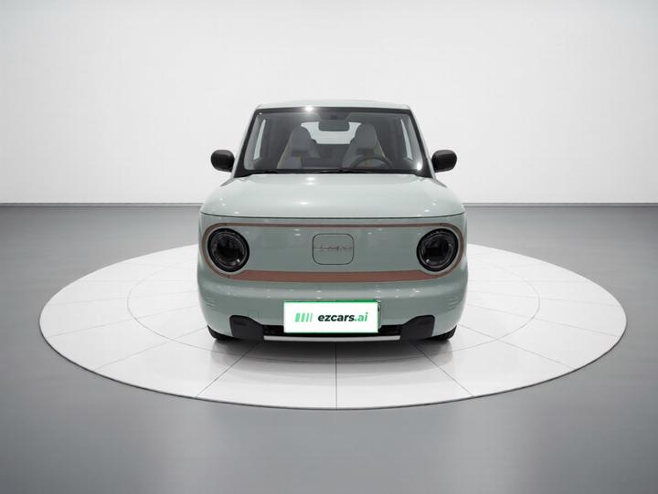 2024 Panda mini 200km Endurance Bear photo 2
