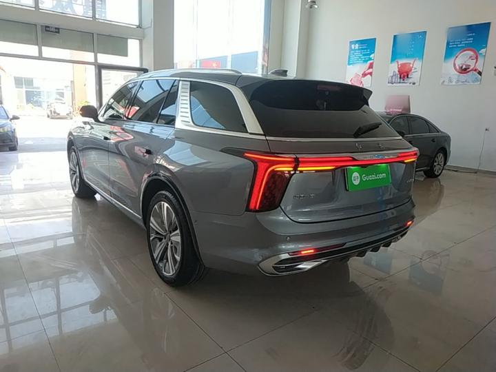 E-HS9 2022 660km 6-Seater photo 4