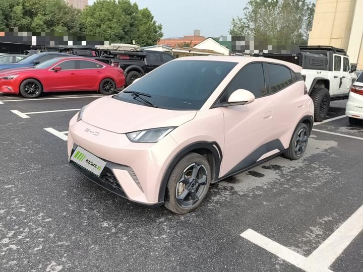 Seagull 2023