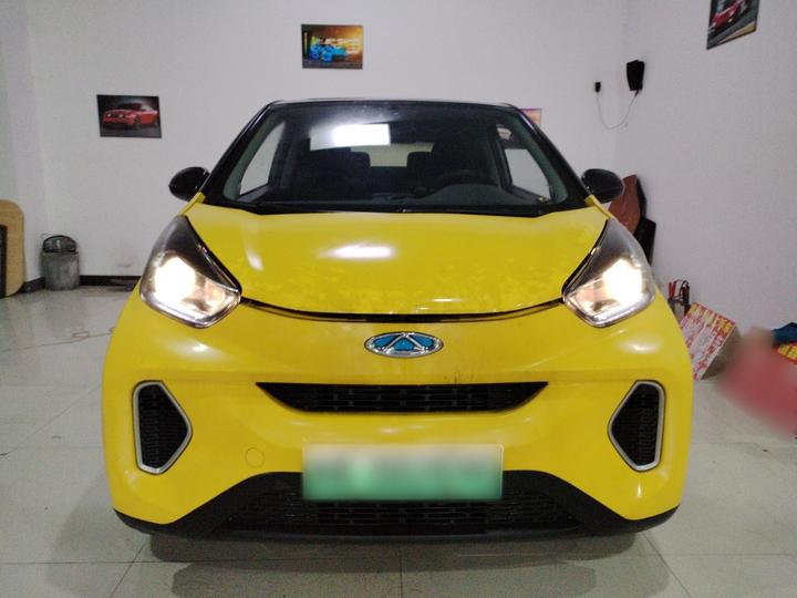 QQ Little Ant 2021 15 LFP photo 2
